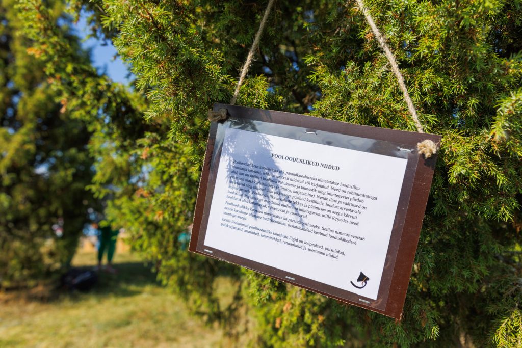 atp-20230715-004-jarek-jõepera