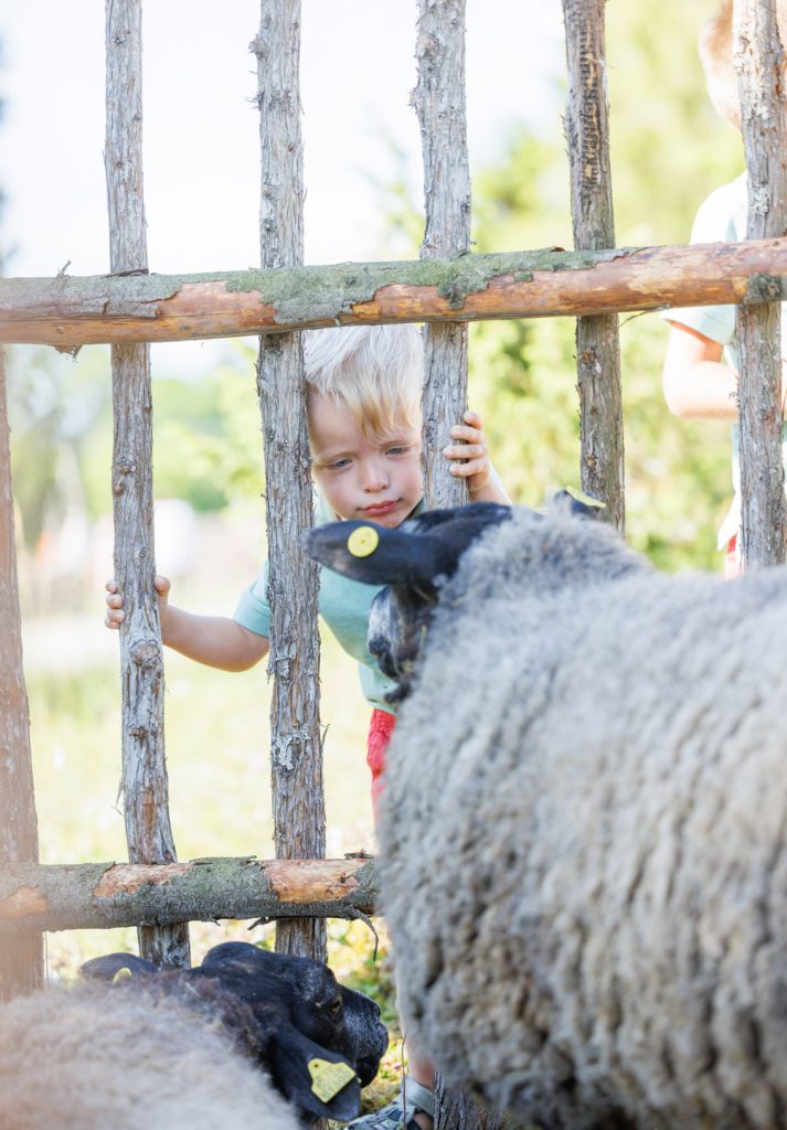 atp-20230715-009-jarek-jõepera