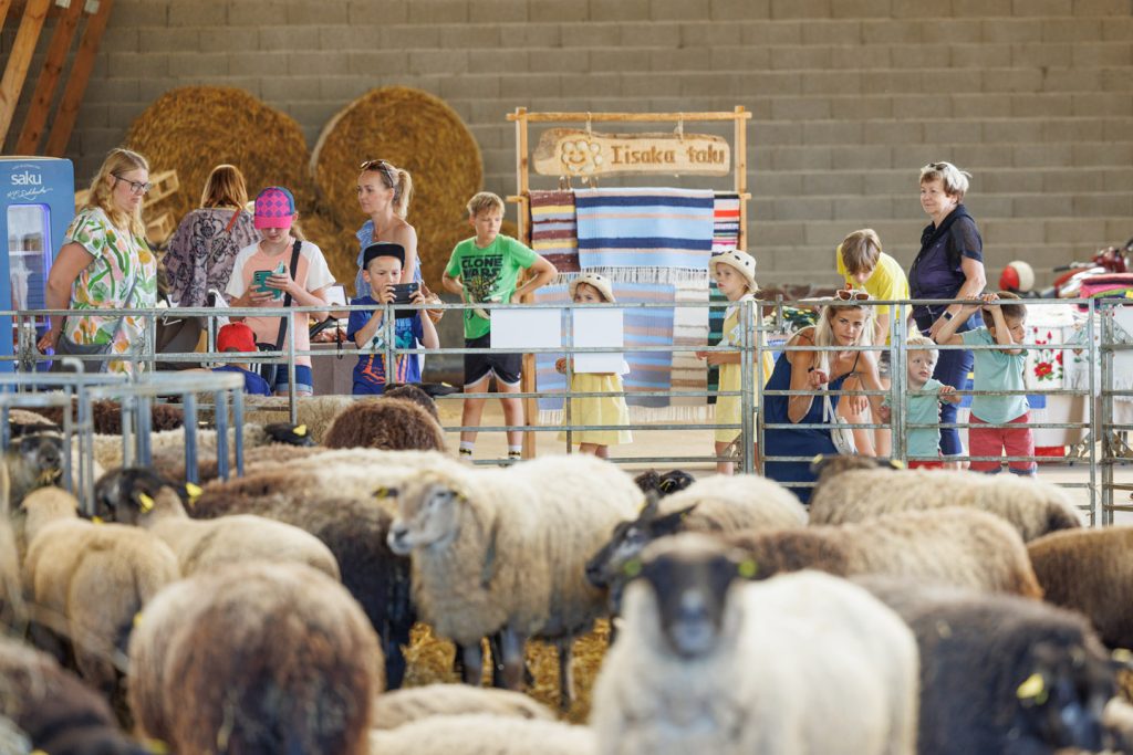 atp-20230715-015-jarek-jõepera