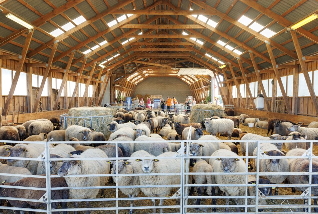 atp-20230715-016-jarek-jõepera