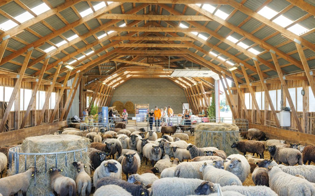 atp-20230715-017-jarek-jõepera