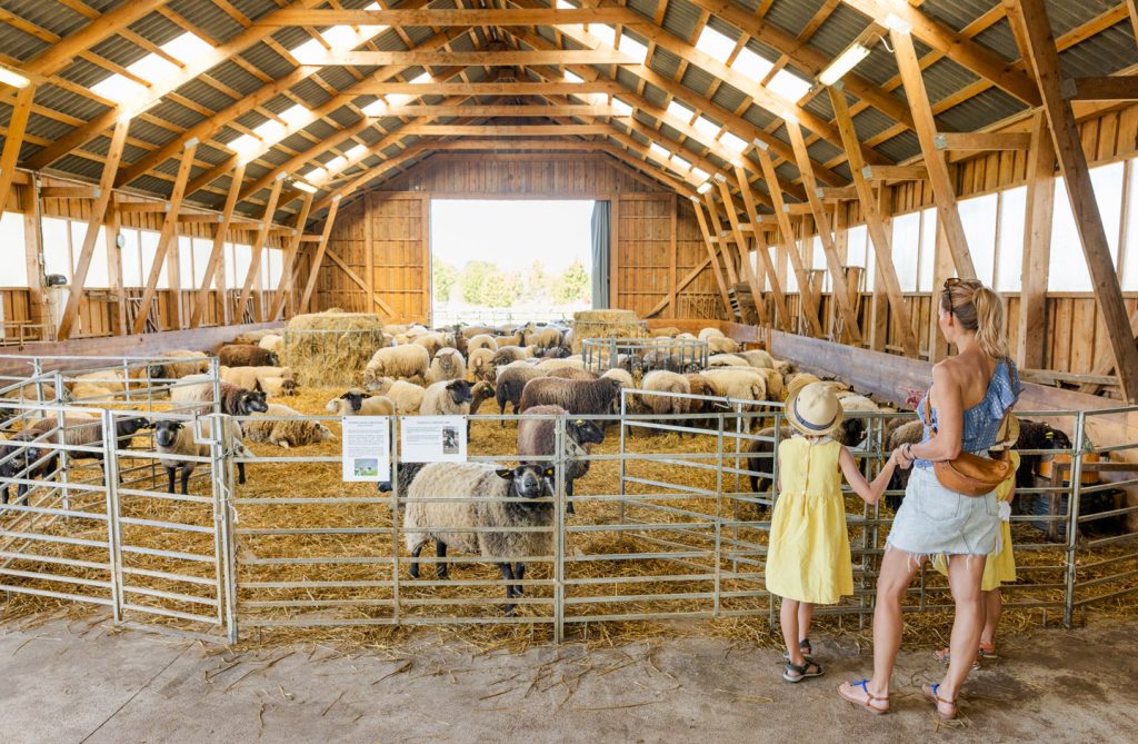 atp-20230715-018-jarek-jõepera