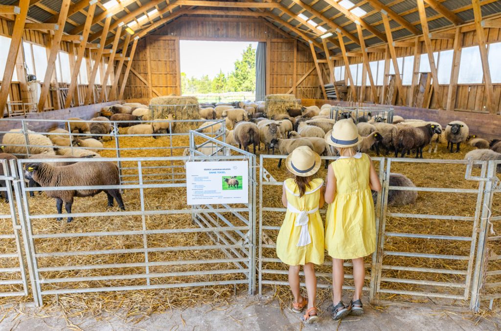 atp-20230715-019-jarek-jõepera