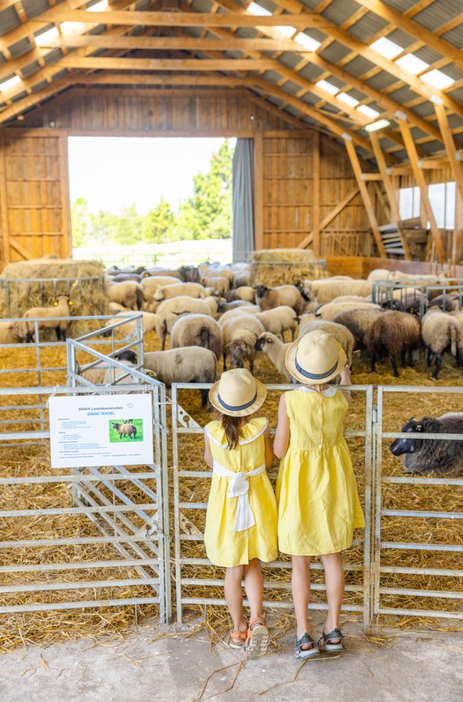 atp-20230715-020-jarek-jõepera