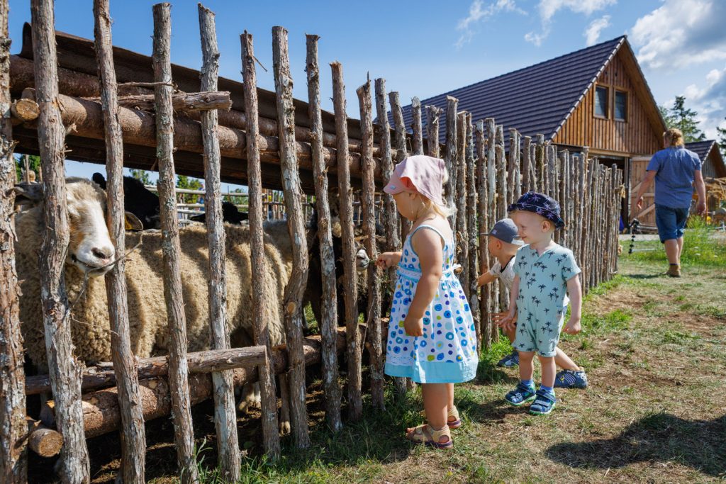 atp-20230715-028-jarek-jõepera