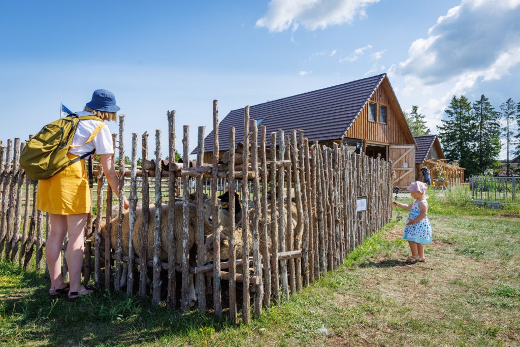 atp-20230715-029-jarek-jõepera