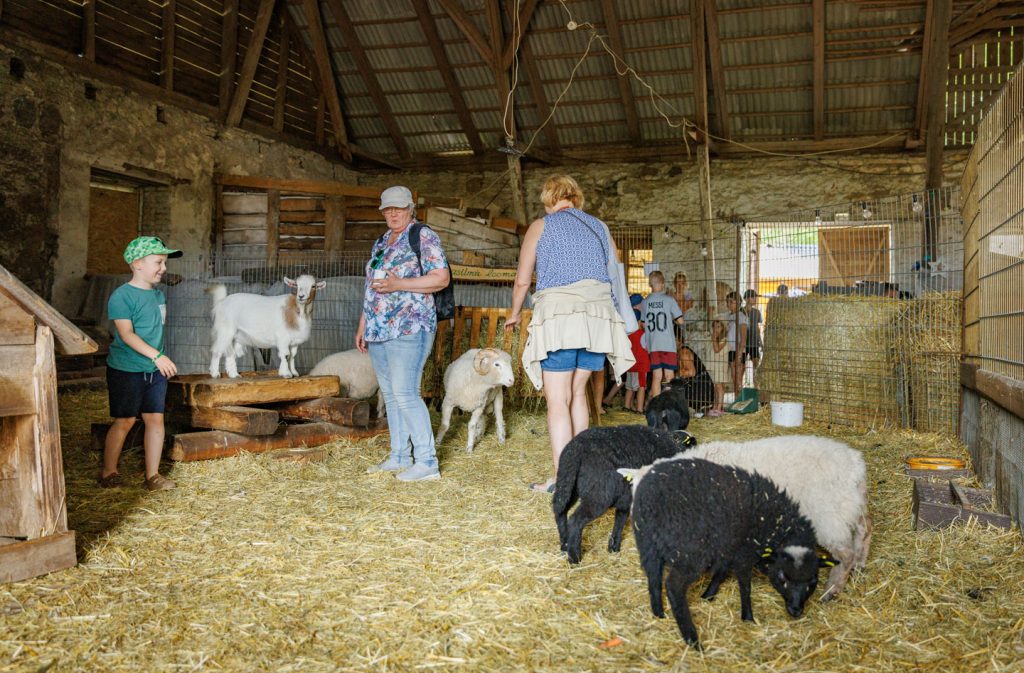 atp-20230715-058-jarek-jõepera