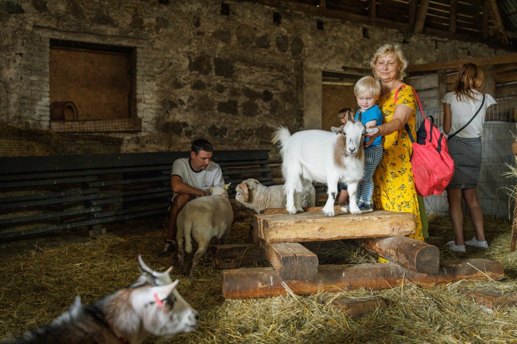 atp-20230715-063-jarek-jõepera