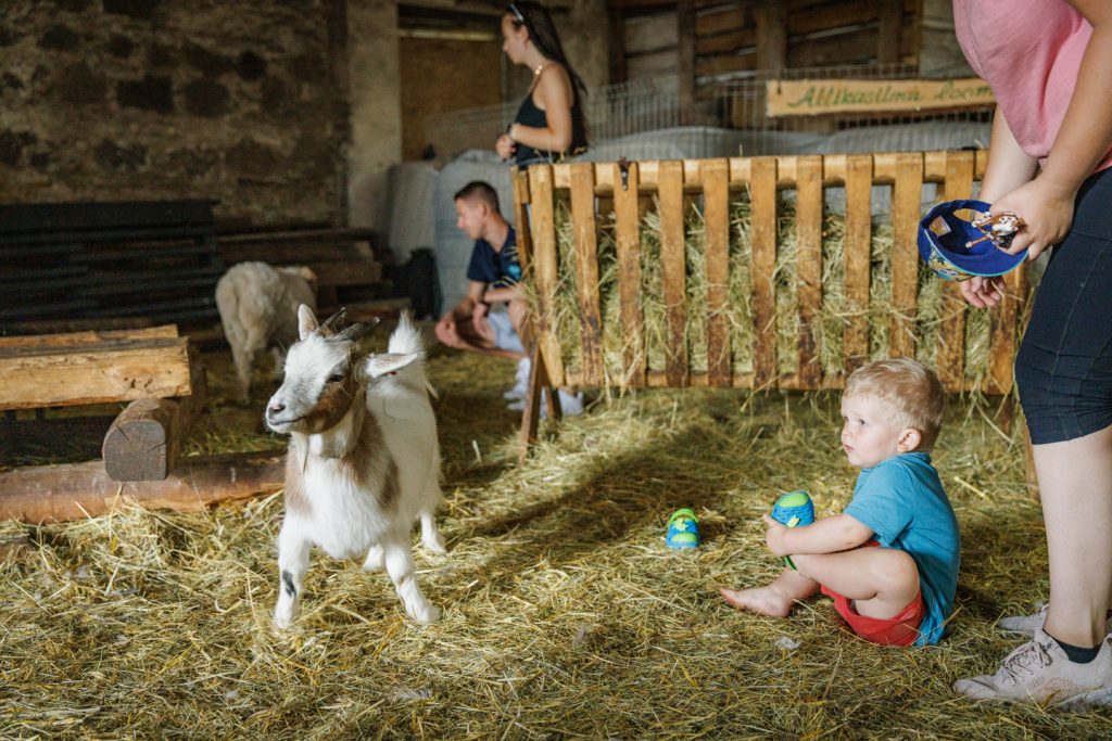 atp-20230715-064-jarek-jõepera