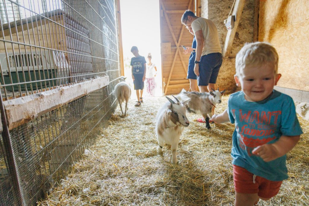 atp-20230715-065-jarek-jõepera