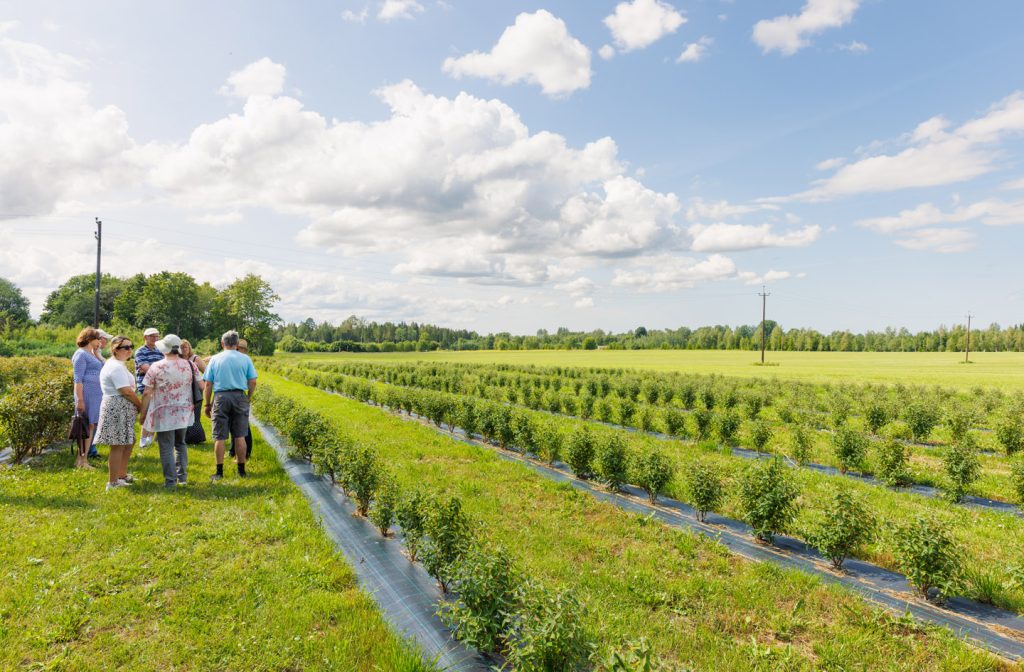 atp-20230715-068-jarek-jõepera