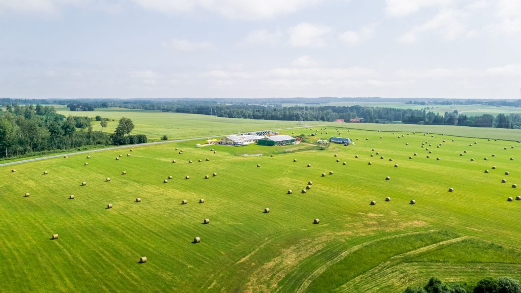 2025. a avatud talude päeva avaüritus Viinamärdi talus. Foto: Siim Kingisepp / Regionaal- ja Põllumajandusministeerium. DJI0813