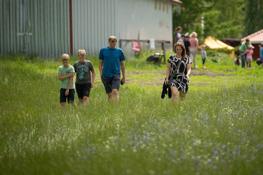 Avatud talude päevad, 12.–13. juuli 2025. Foto: Aivo Kallas / Regionaal- ja Põllumajandusministeerium