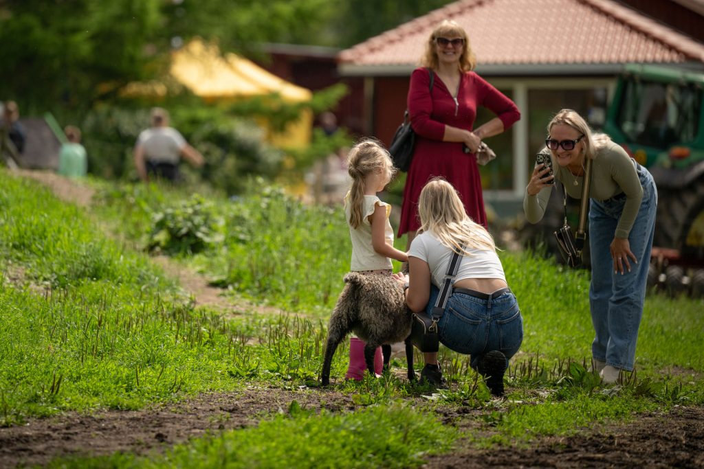 Avatud talude päevad, 12.–13. juuli 2025. Foto: Aivo Kallas / Regionaal- ja Põllumajandusministeerium