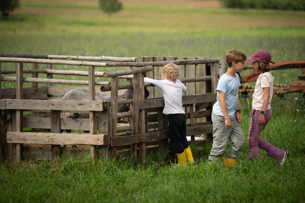 Avatud talude päevad, 12.–13. juuli 2025. Foto: Aivo Kallas / Regionaal- ja Põllumajandusministeerium