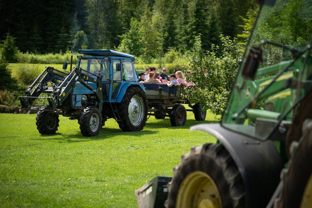 Avatud talude päevad, 12.–13. juuli 2025. Foto: Aivo Kallas / Regionaal- ja Põllumajandusministeerium