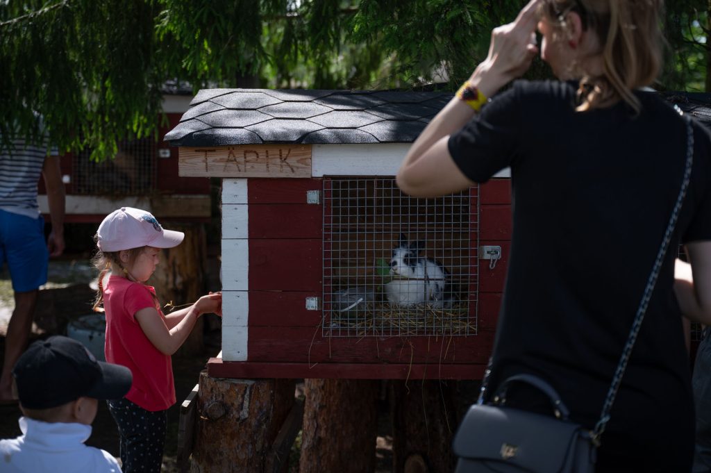 Avatud talude päevad, 12.–13. juuli 2025. Foto: Aivo Kallas / Regionaal- ja Põllumajandusministeerium