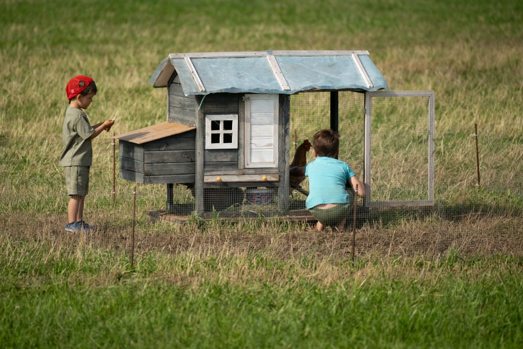 Avatud talude päevad, 12.–13. juuli 2025. Foto: Aivo Kallas / Regionaal- ja Põllumajandusministeerium