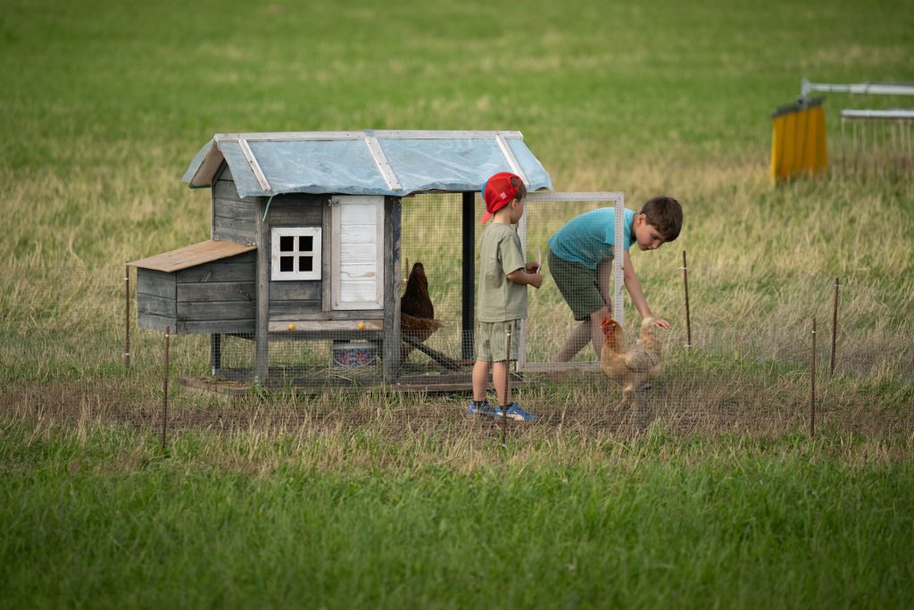 Avatud talude päevad, 12.–13. juuli 2025. Foto: Aivo Kallas / Regionaal- ja Põllumajandusministeerium