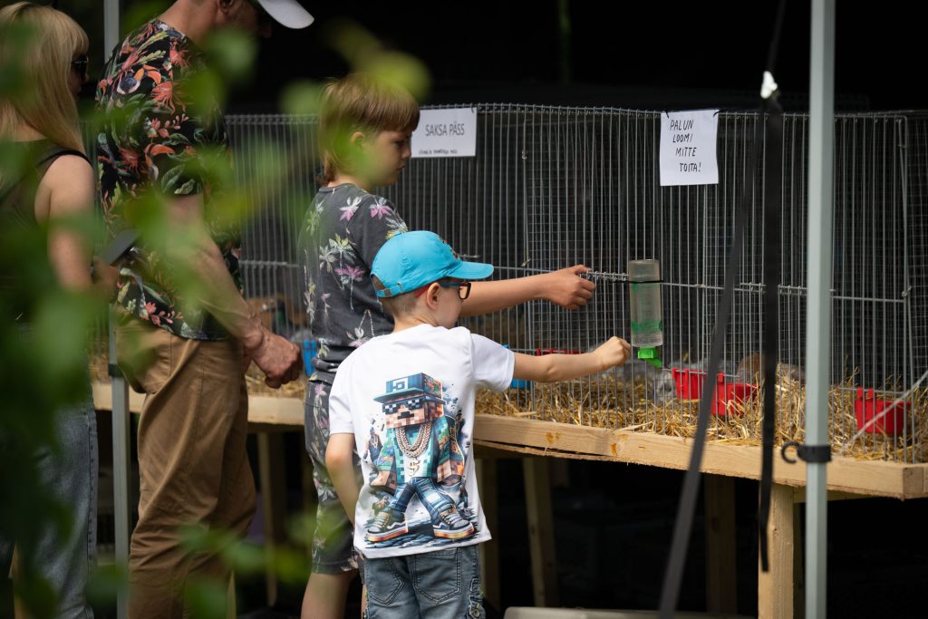 Avatud talude päevad, 12.–13. juuli 2025. Foto: Aivo Kallas / Regionaal- ja Põllumajandusministeerium