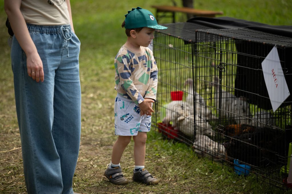 Avatud talude päevad, 12.–13. juuli 2025. Foto: Aivo Kallas / Regionaal- ja Põllumajandusministeerium