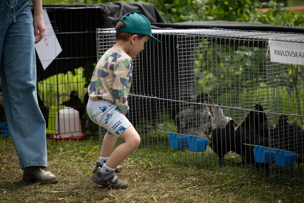Avatud talude päevad, 12.–13. juuli 2025. Foto: Aivo Kallas / Regionaal- ja Põllumajandusministeerium