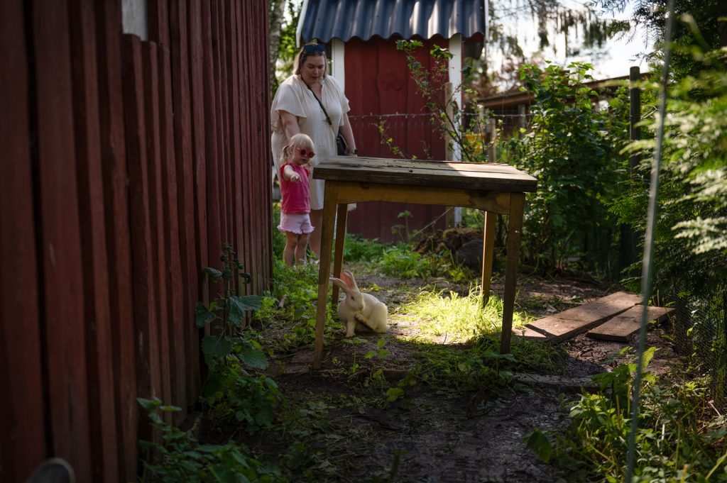 Avatud talude päevad, 12.–13. juuli 2025. Foto: Aivo Kallas / Regionaal- ja Põllumajandusministeerium