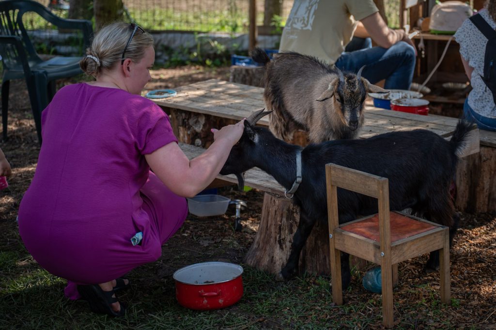 Avatud talude päevad, 12.–13. juuli 2025. Foto: Aivo Kallas / Regionaal- ja Põllumajandusministeerium